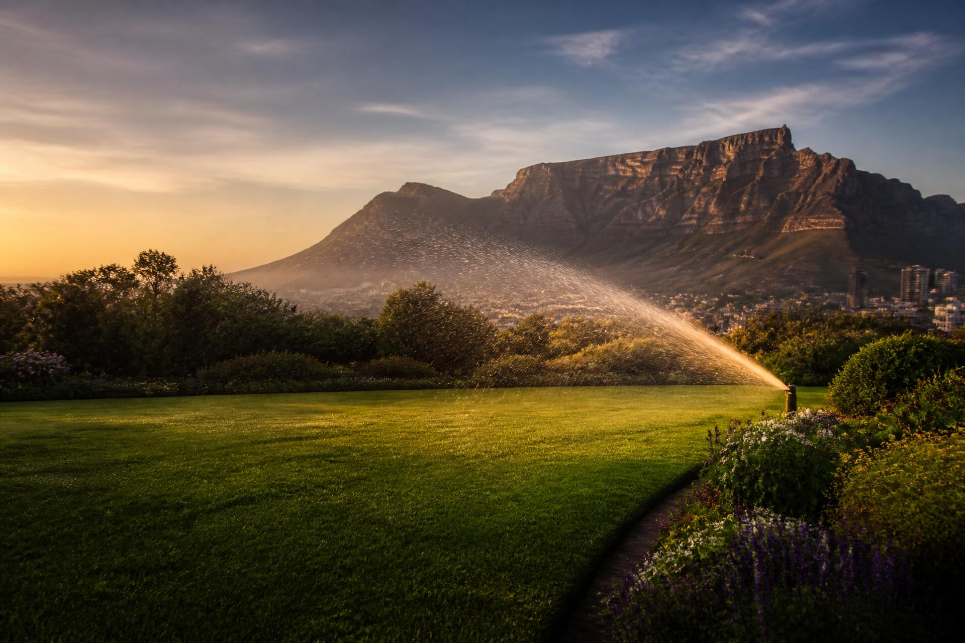 Sprinkler watering a lush Cape Town garden with Table Mountain in the background